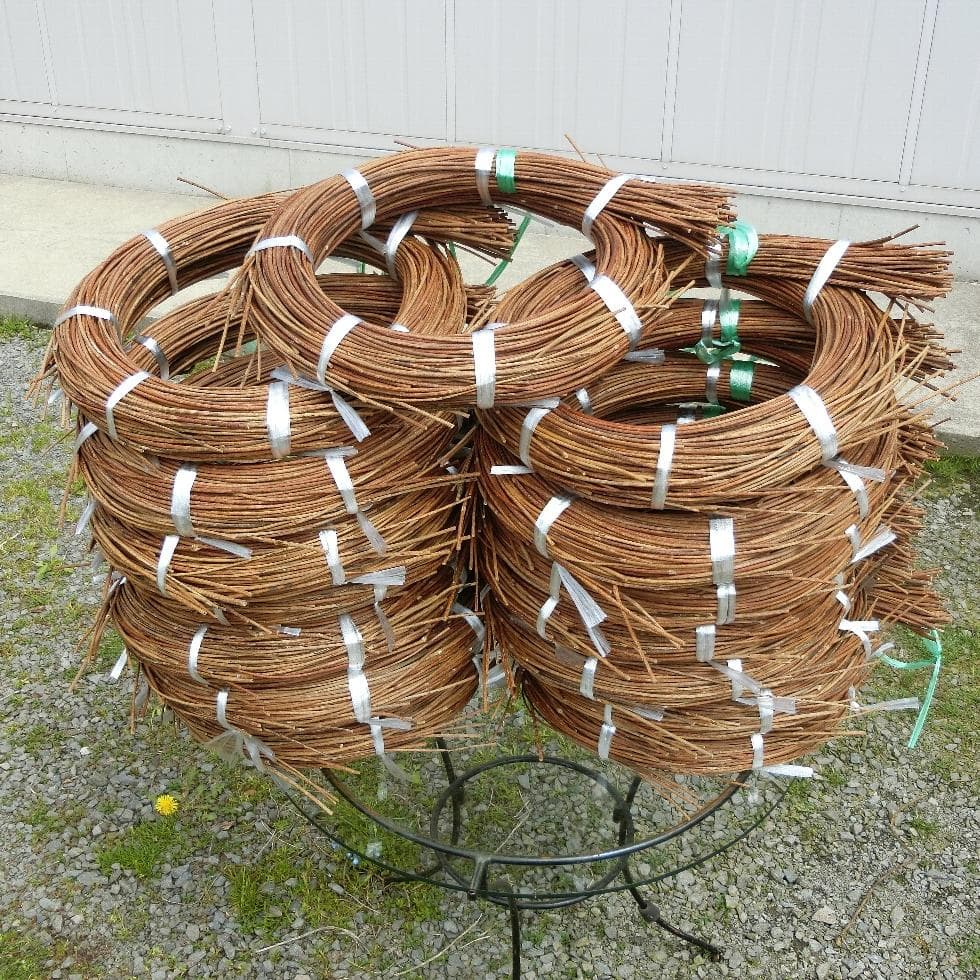 黄色いくまさん　青森岩木山採取　あけび蔓　150cm～ 15kg　1