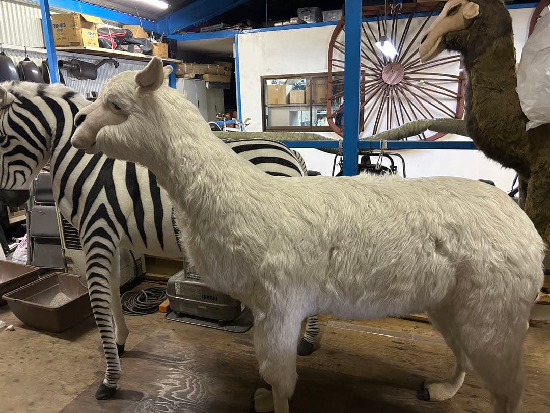 ハンサ アルパカ