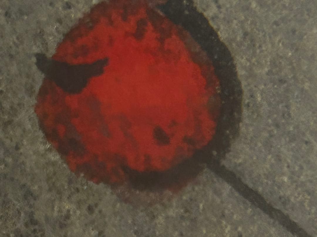 期間限定値下げ　処分価格　大倉雨村　「南天」