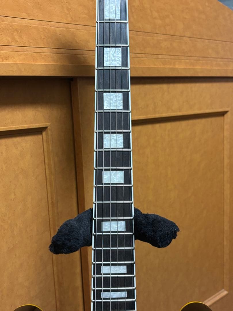 【hirosn07】EDWARDS（エドワーズ） E-SA-CT M