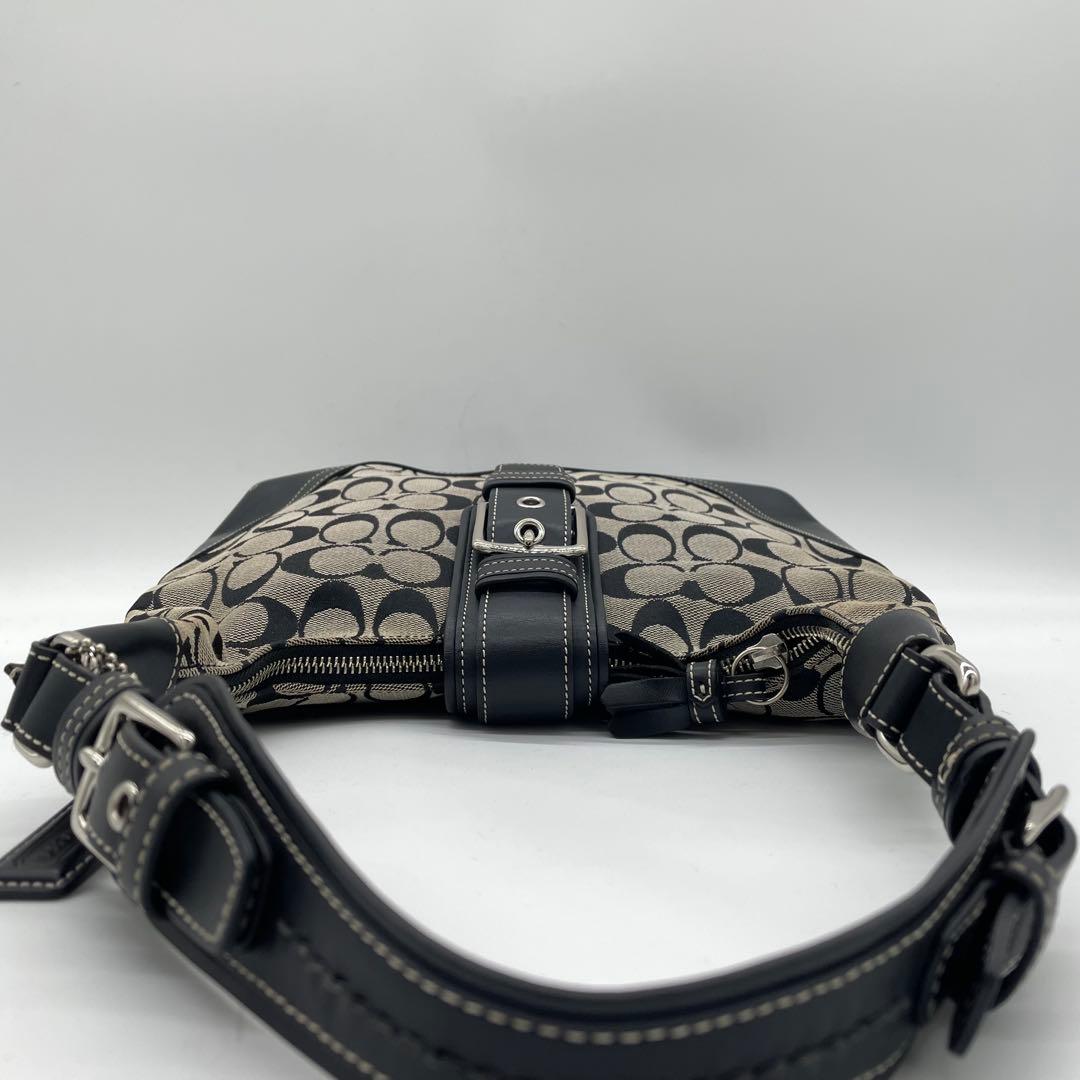 【美品】コーチ　ワンショルダーバッグ　タッセル　チャーム　シグネチャー