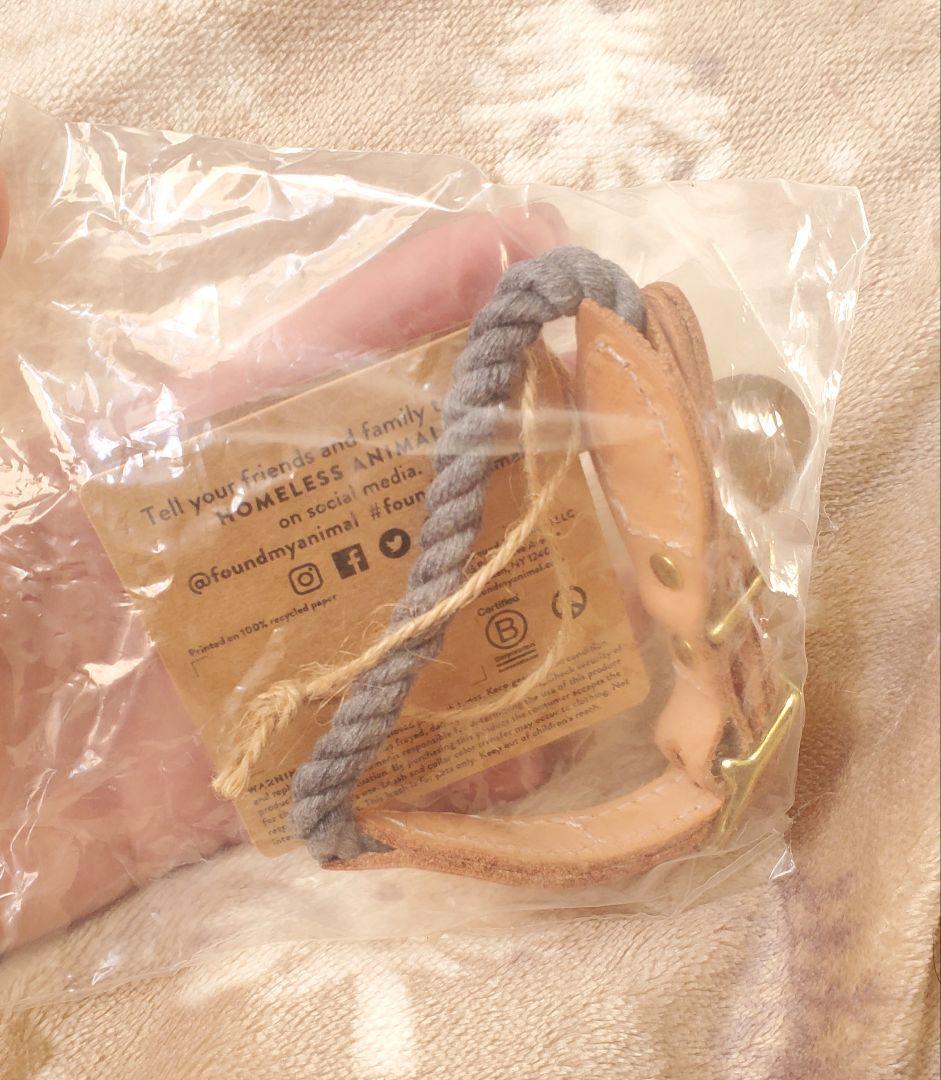 FOUND MY ANIMAL ペット用首輪 グレー XS