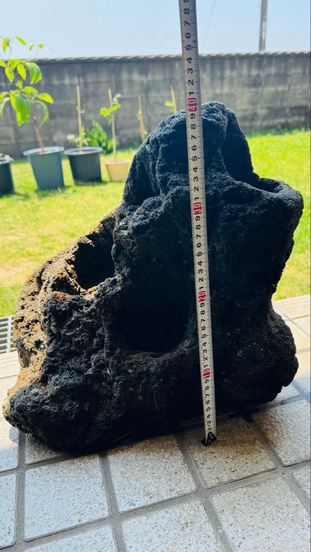 ADA 雲山石 特寸サイズ 2個セット