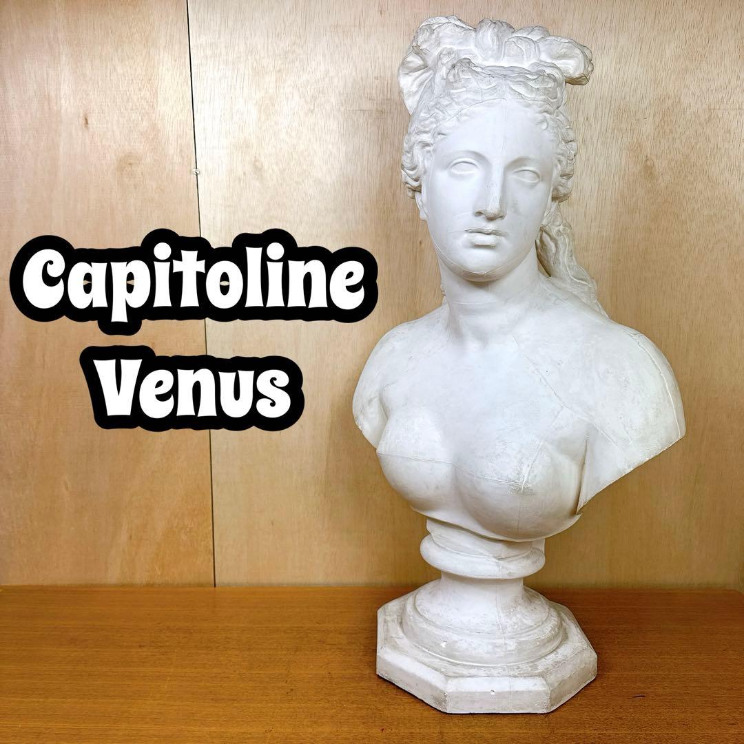 石膏像 カピトリーノ ヴィーナス 胸像 デッサン 美術 恥じらいのヴィーナス