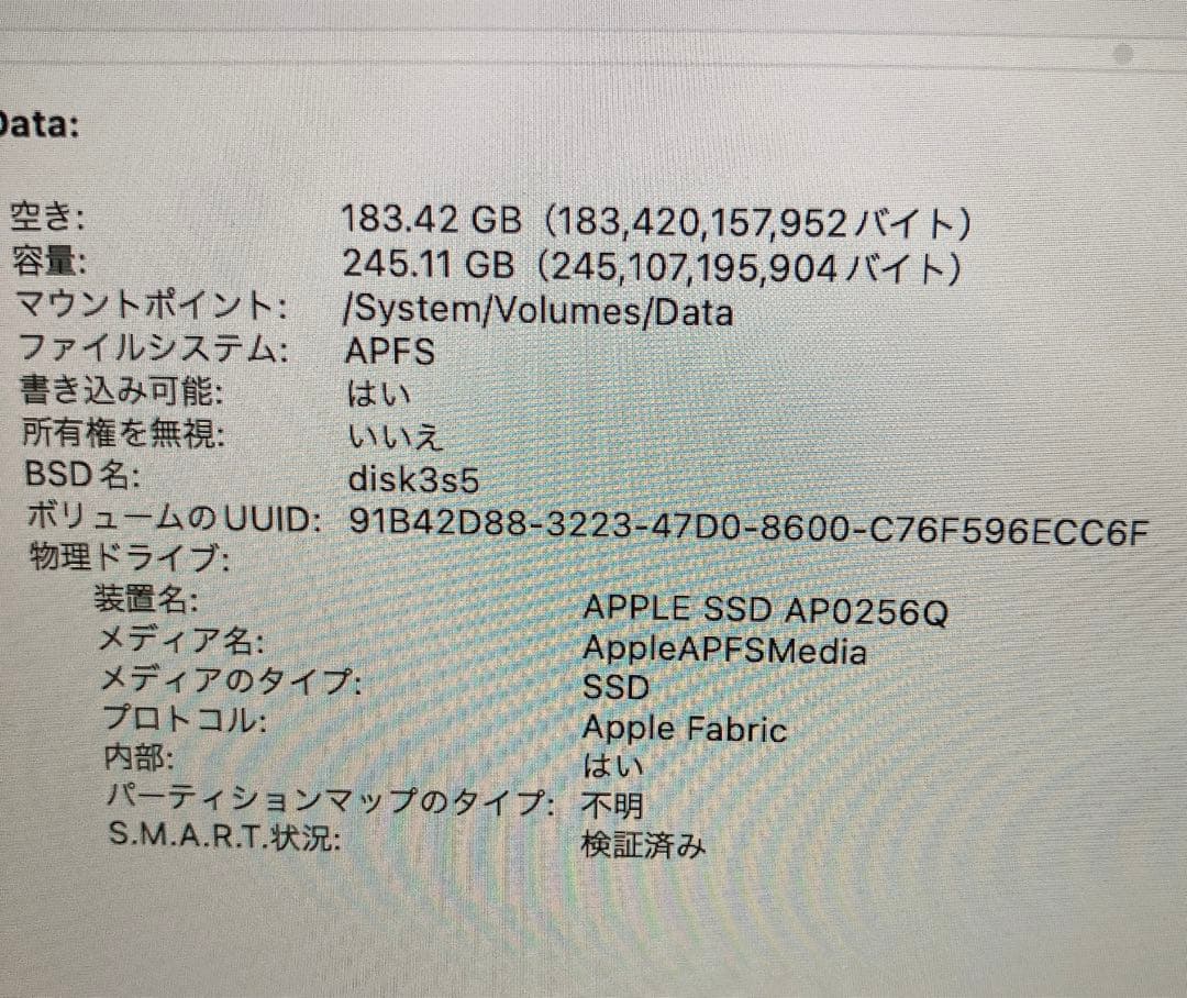 【極美品】放電9回 容量100% 16GB MacBook Air m1