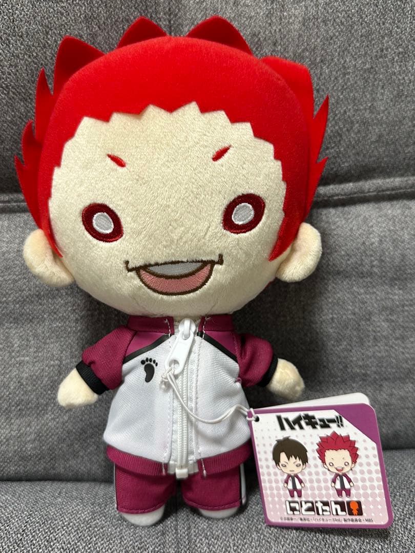 ハイキュー!! おおきい にとたん ぬいぐるみ 天童覚(タグ付き)