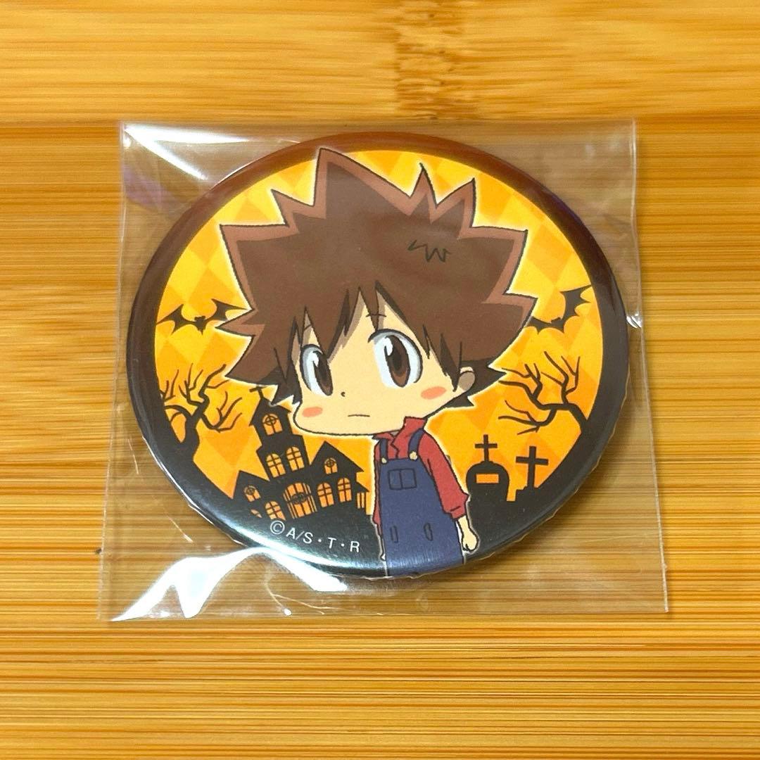 REBORN 怪物づかいツナ 沢田綱吉 缶バッジ