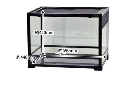 Cindy Entac様　パンテオン6045未使用未開封1台