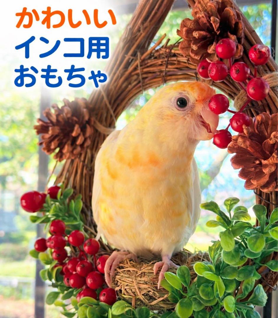 インコのおもちゃ 作品紹介
