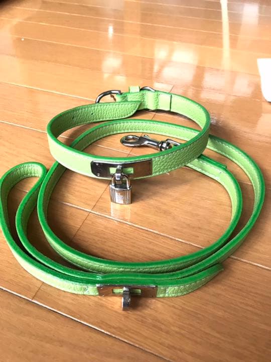 中型犬用カラー&リード