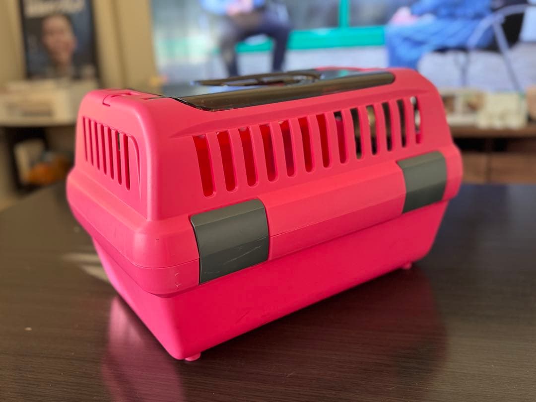 リッチェル　ペットキャリー　肩ベルト付き　中古