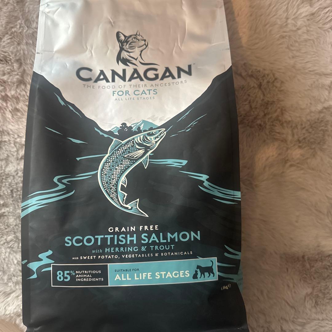 CANAGAN カナガン サーモン2袋！猫ドライフード