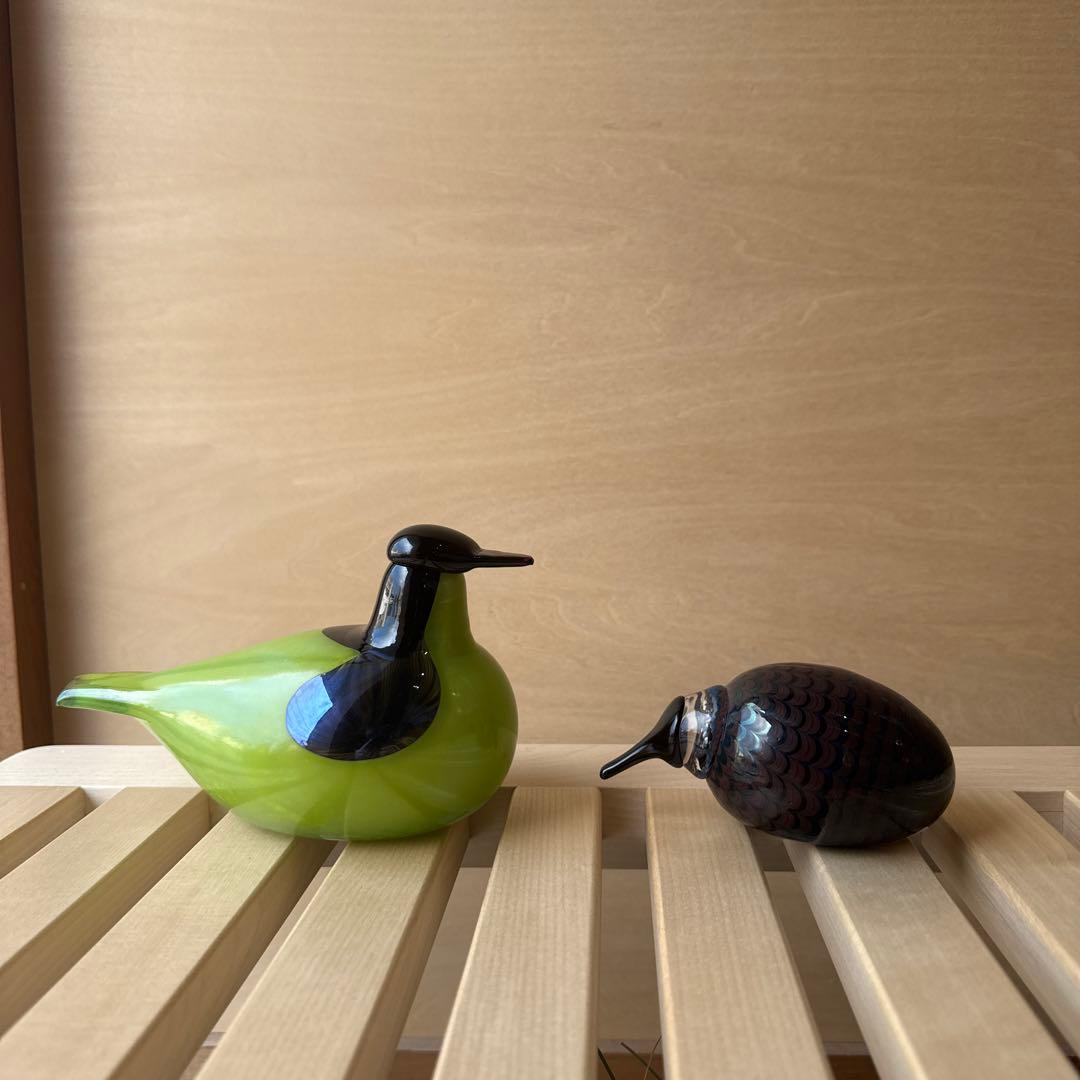 　バード　little kiwi