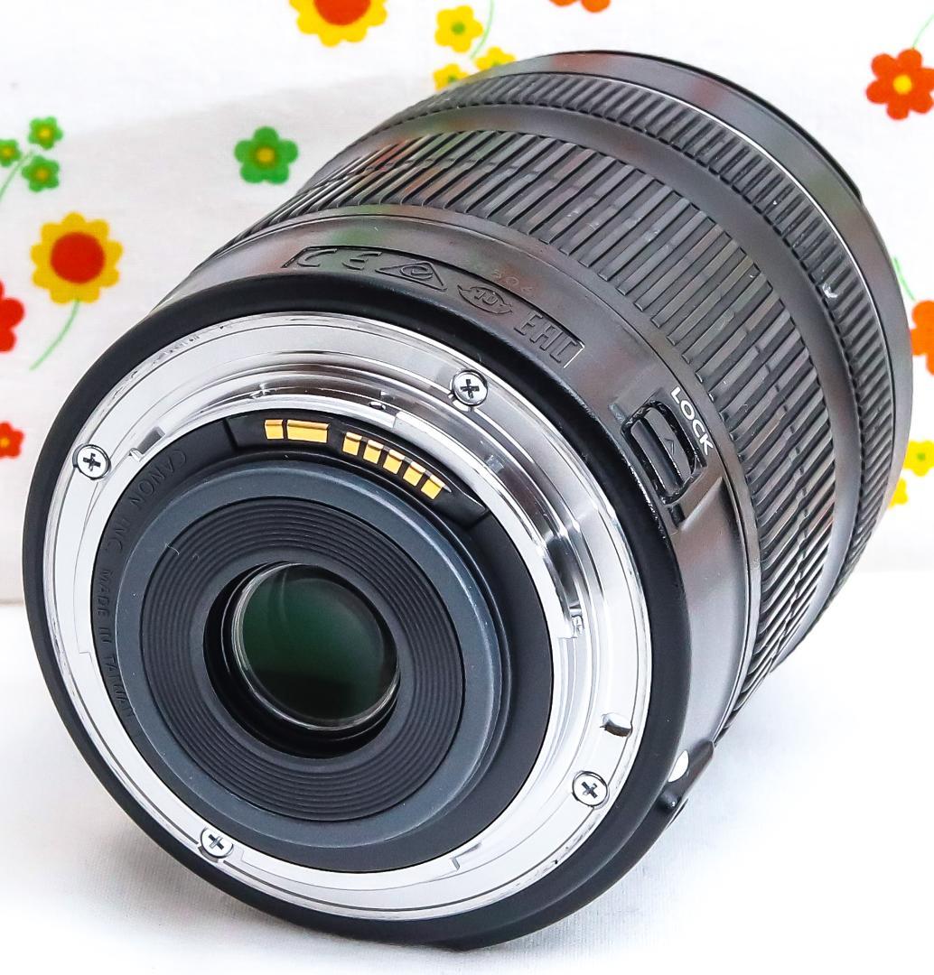 美品 Canon EF-S 18-135mm STM☆高性能・高倍率レンズ
