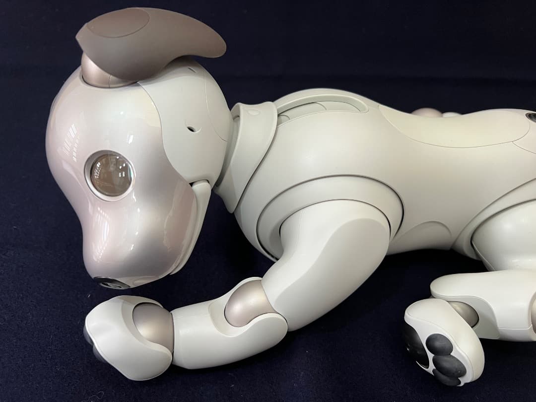 美品　期間限定　ソニーアイボAIBO　アイボリーホワイト　動作確認済【匿名配送】