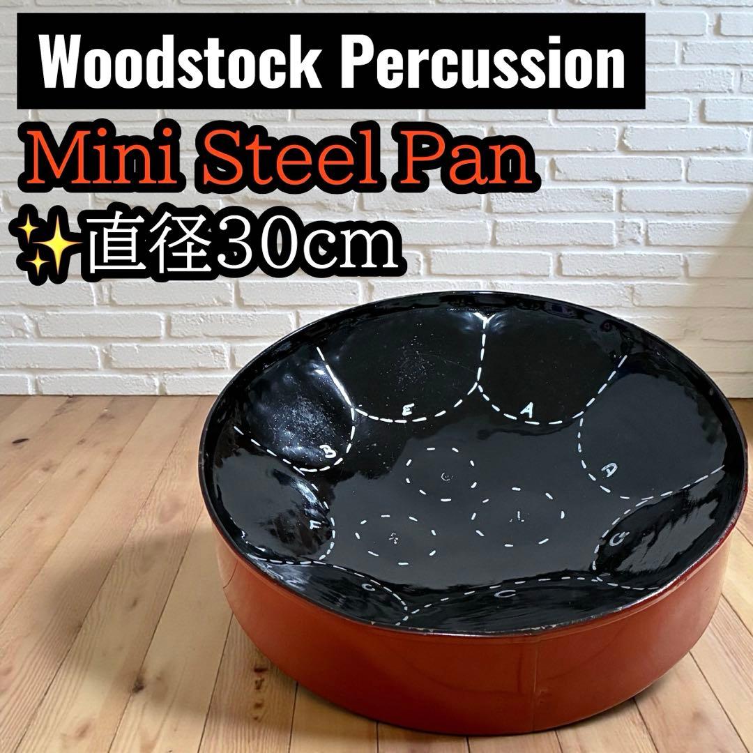 希少品 ミニ スティールパン Mini Steel Pan 打楽器 直径30cm