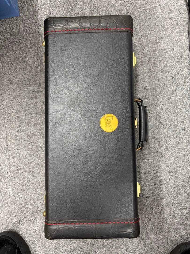 ぽぽちゃん バックトランペット