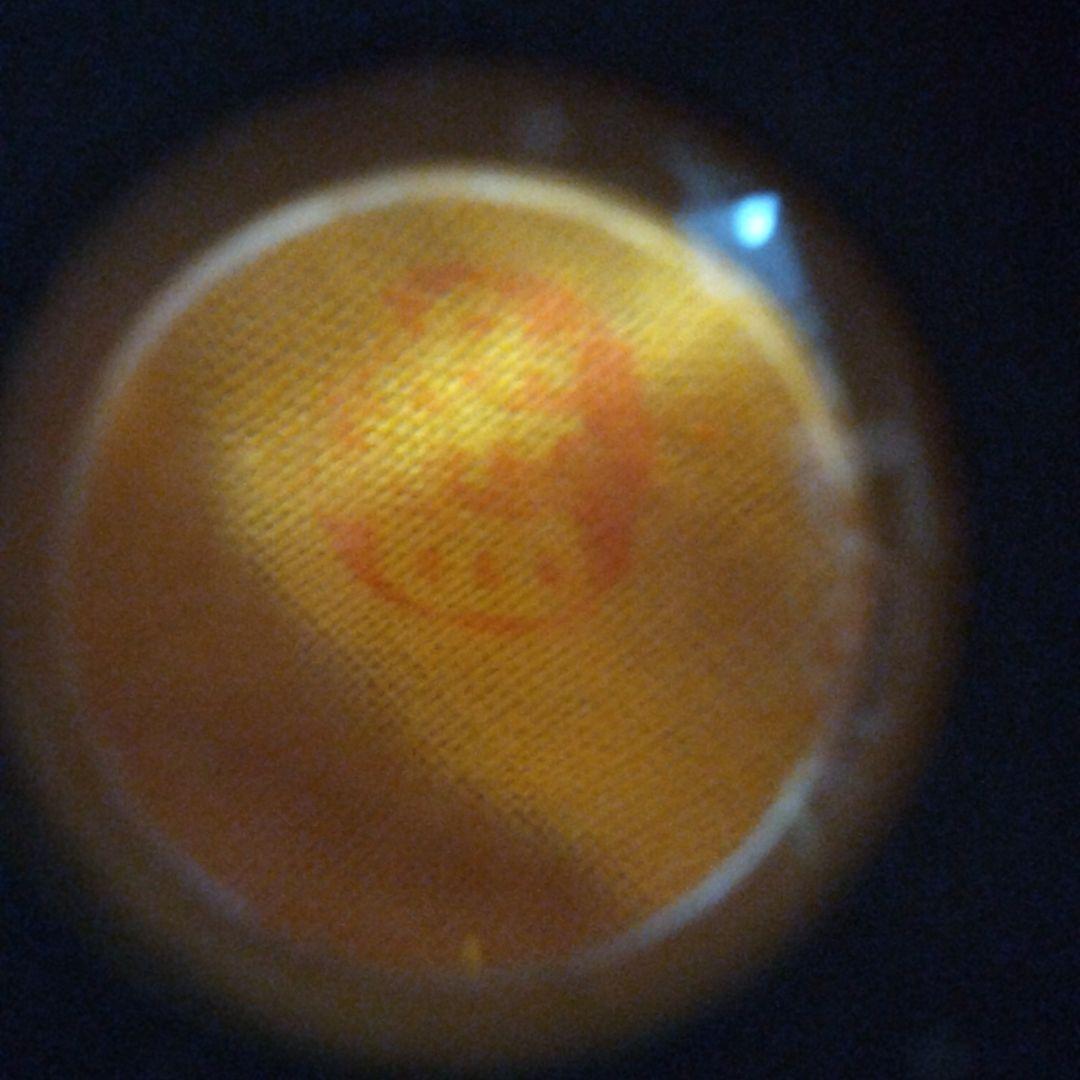 ミニ鉢、盆栽鉢、盆栽小鉢、鉢、植木鉢、山野草鉢、蘭鉢、盆栽、