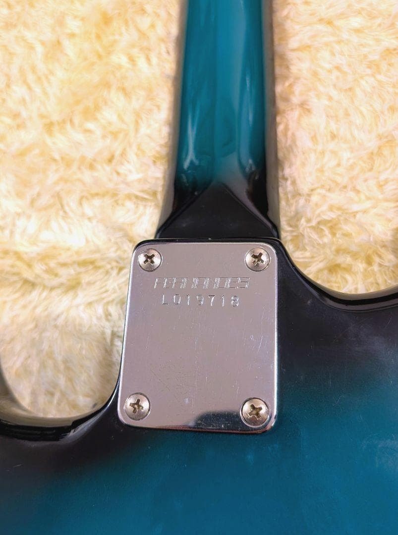 フェルナンデス　FERNANDES FST-65 the Function