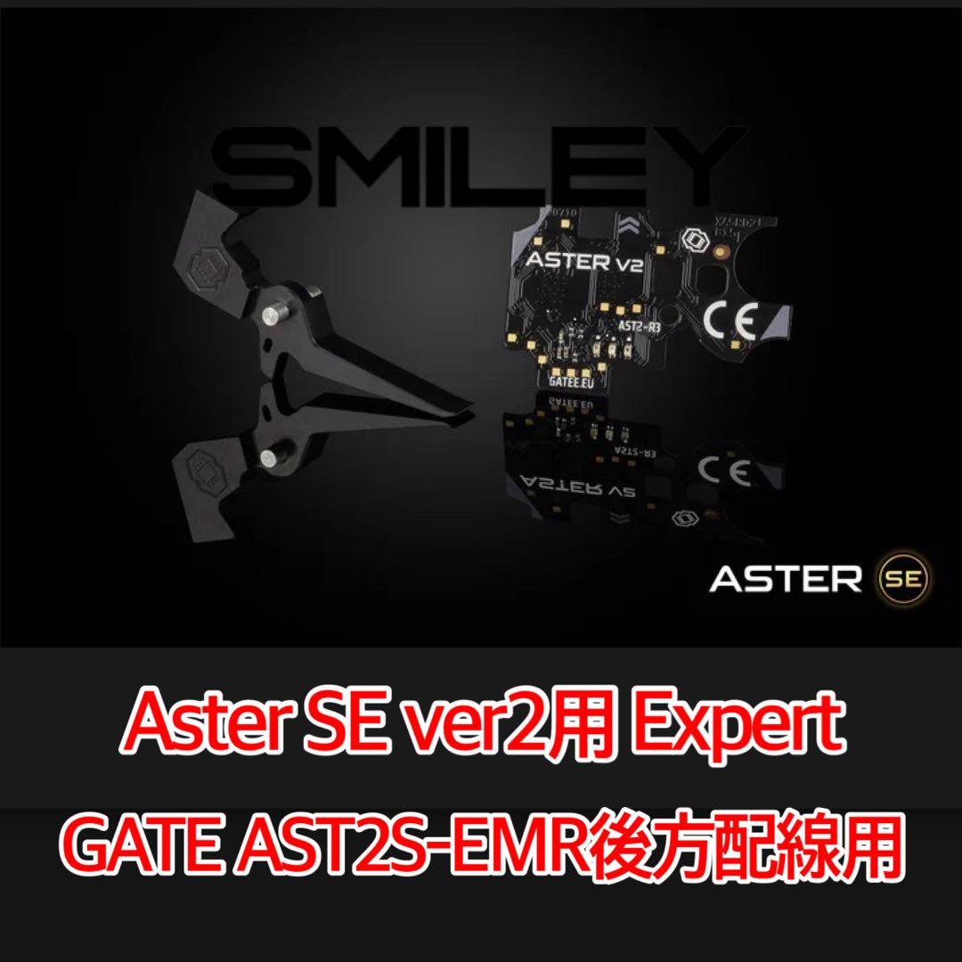 GATE AST2S-EMR ASTER SE Ver2 Expert 後方配線