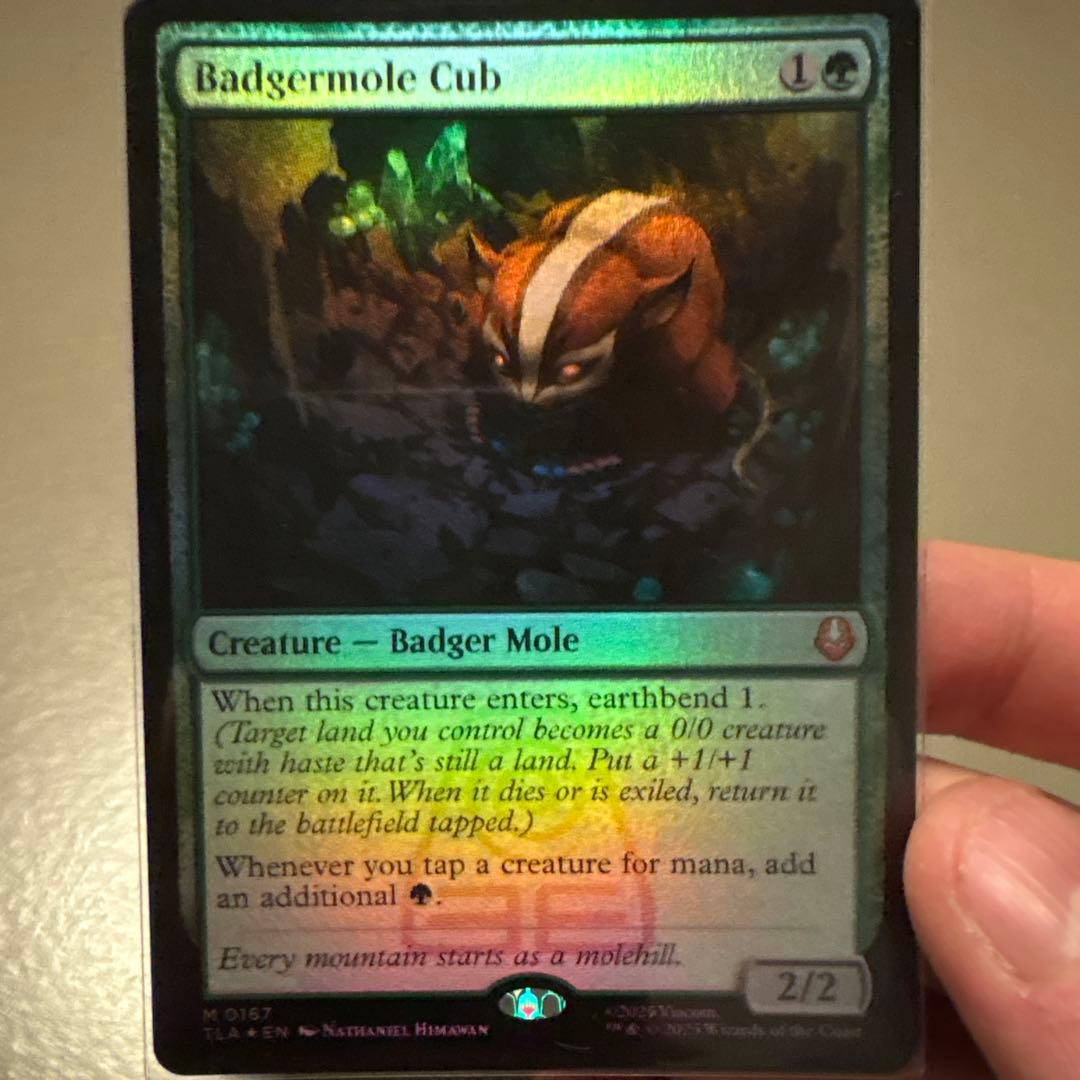 Badgermole Cub クリーチャーカード MTG 英語 Foil