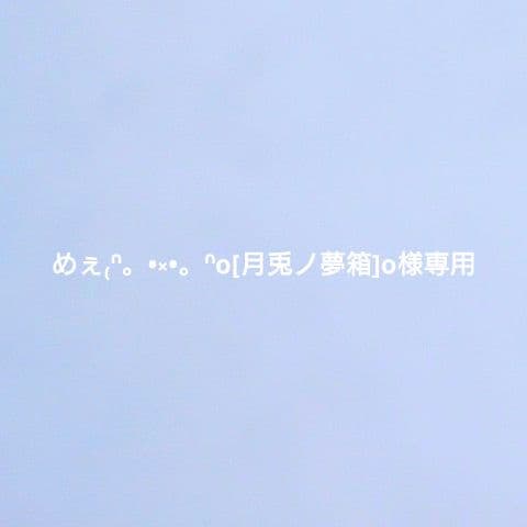 めぇ₍ᐢ。•༝•。ᐢo[月兎ノ夢箱]o 1/4シェル型ソファ3人用