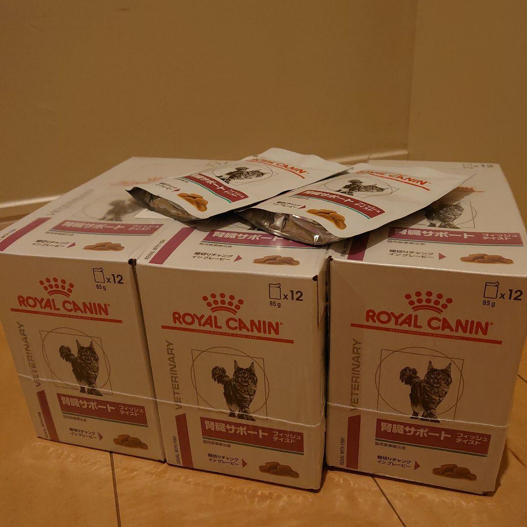  CANIN 療法食腎臓サポートフィッシュテイスト 猫パウチ 38袋