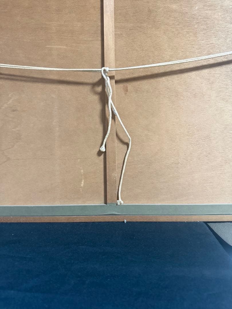 中国　王雪濤　牡丹　栄寶斎　木版水印　額装　送料込み250924