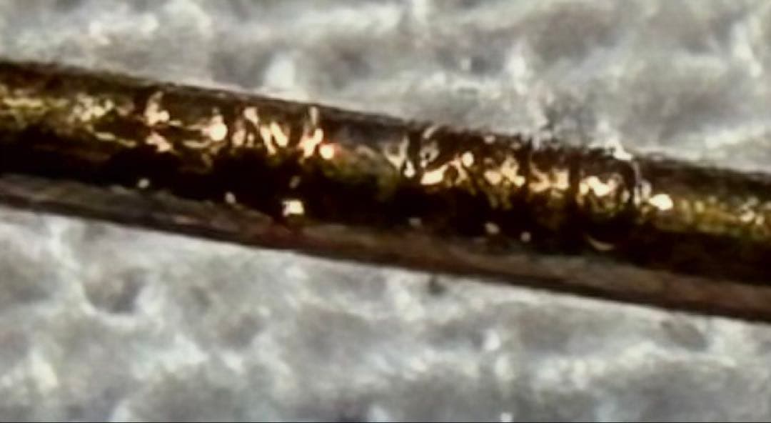 agete パール スタッドピアス