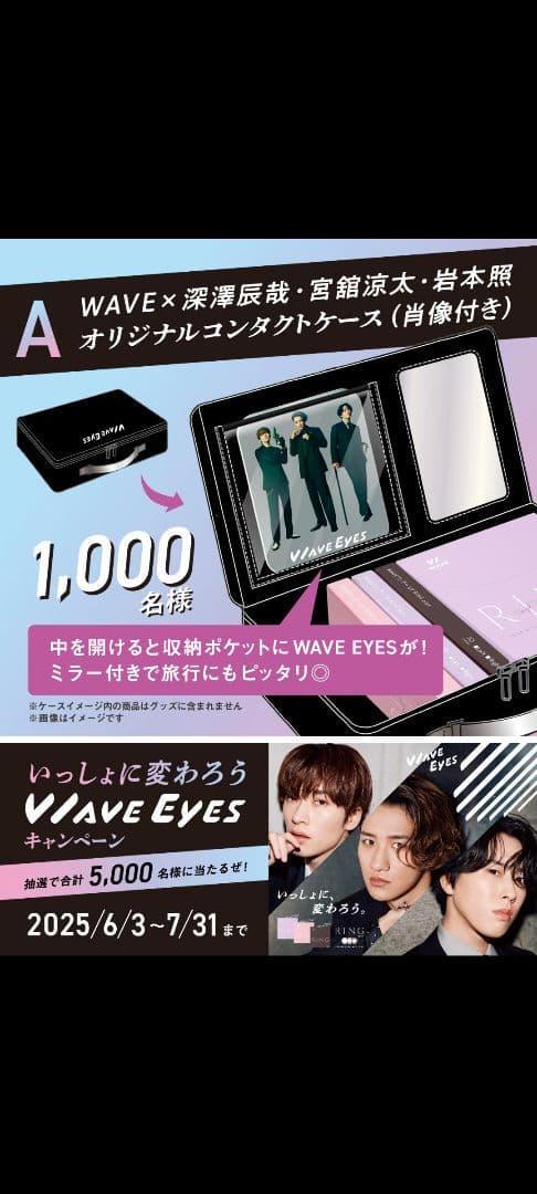 WAVE EYES オリジナルコンサートケース