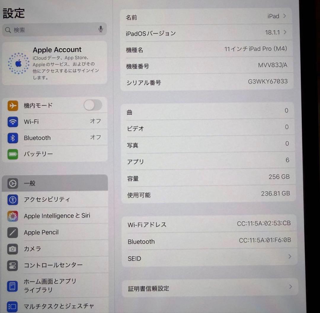 【ほぼ未使用】Apple iPad Pro 11インチ M4 256GB