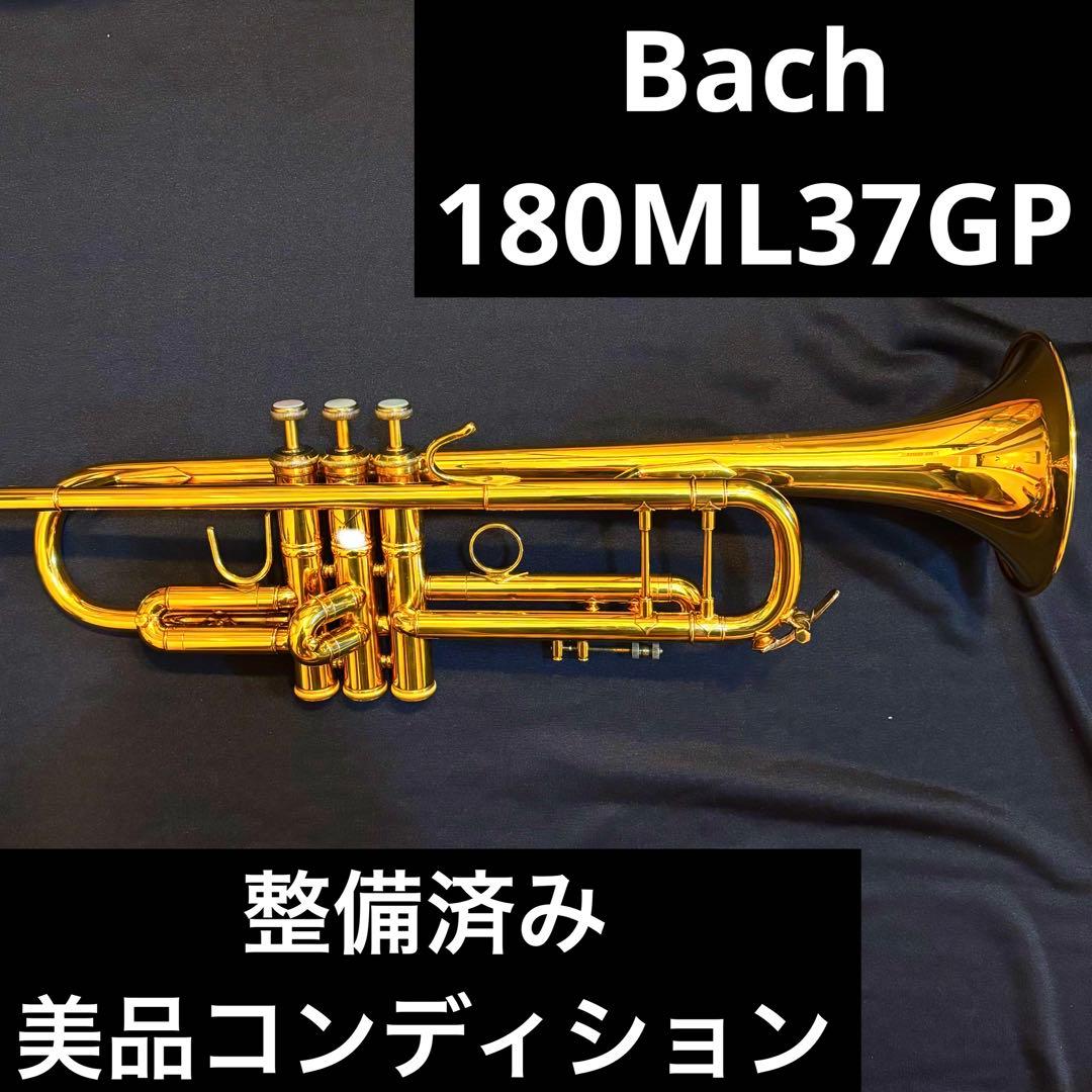 Bach 180ML37GP トランペット 金メッキ スチールワイヤーベル
