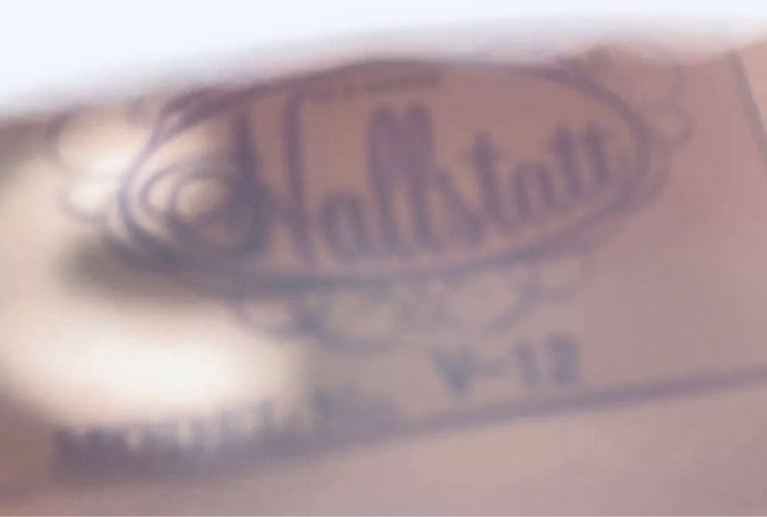 超美品 Hallstatt ハルシュタット V-12 4/4 バイオリンセット