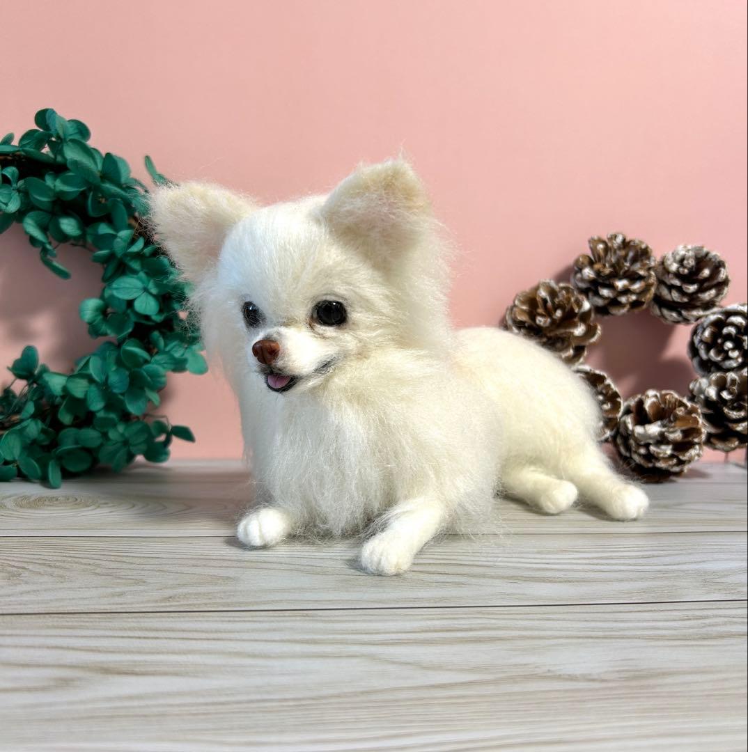 羊毛フェルト　リラックスチワワちゃん　6