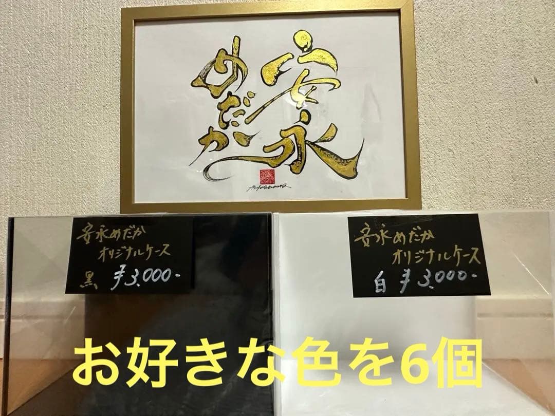 超お得6個セット！！【安永めだか】オリジナル横見ケース