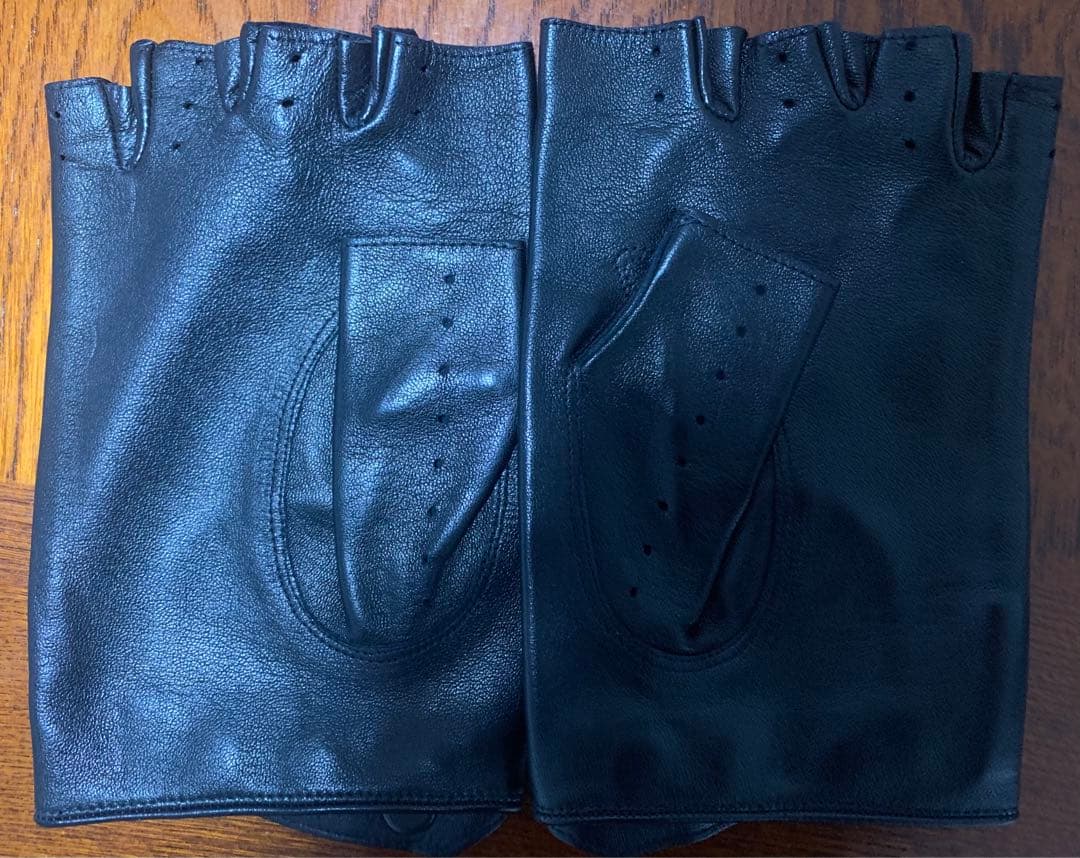 Dior Homme 03AW Luster期 レザーグローブ