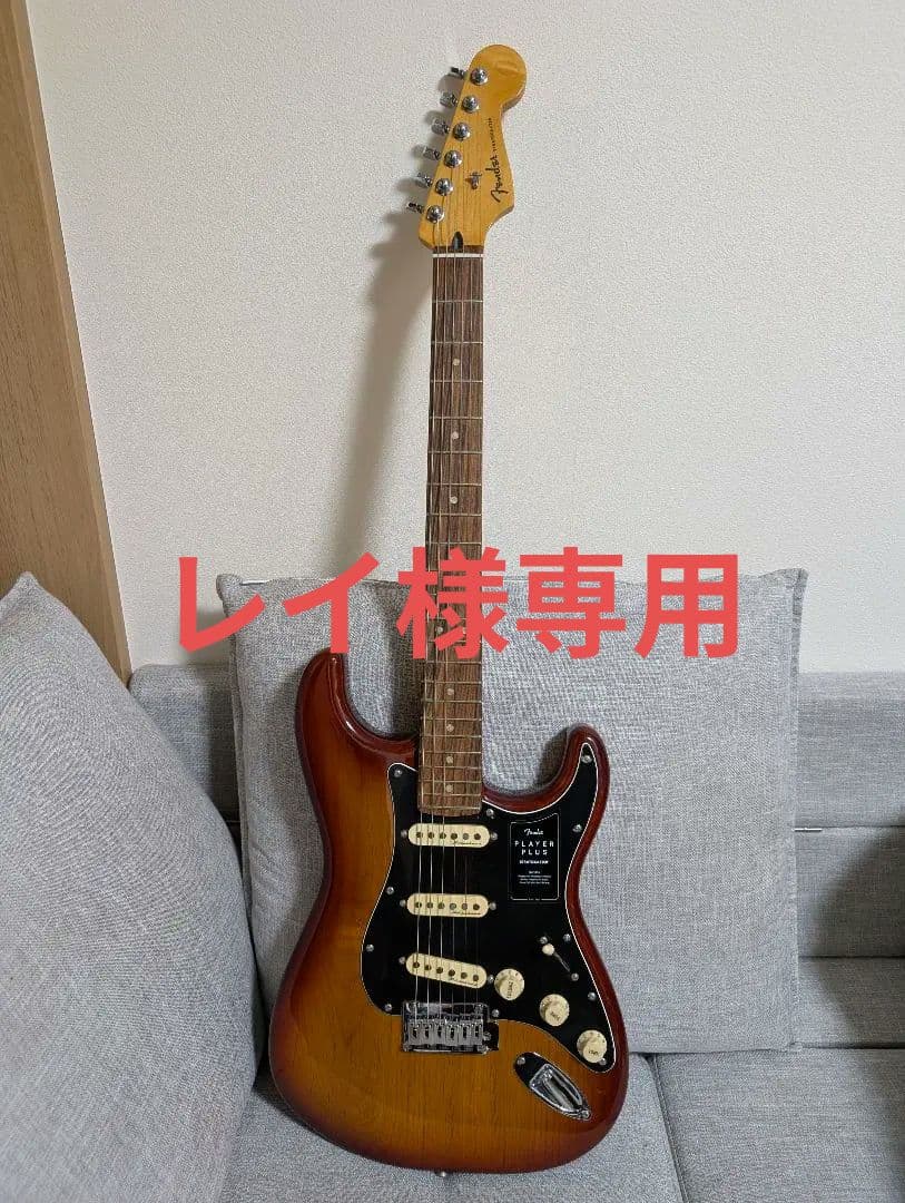 (レイ) Fender Player Plus Stratocaster