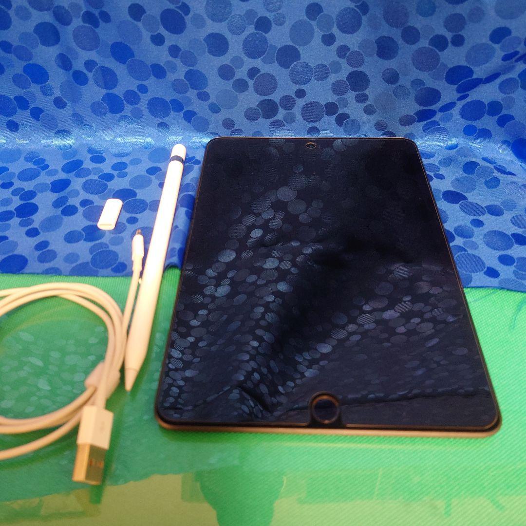 Apple iPad mini (第５世代) 256G スペースグレー 本体