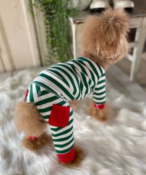 as know as de wan Ｎルームウェアセット