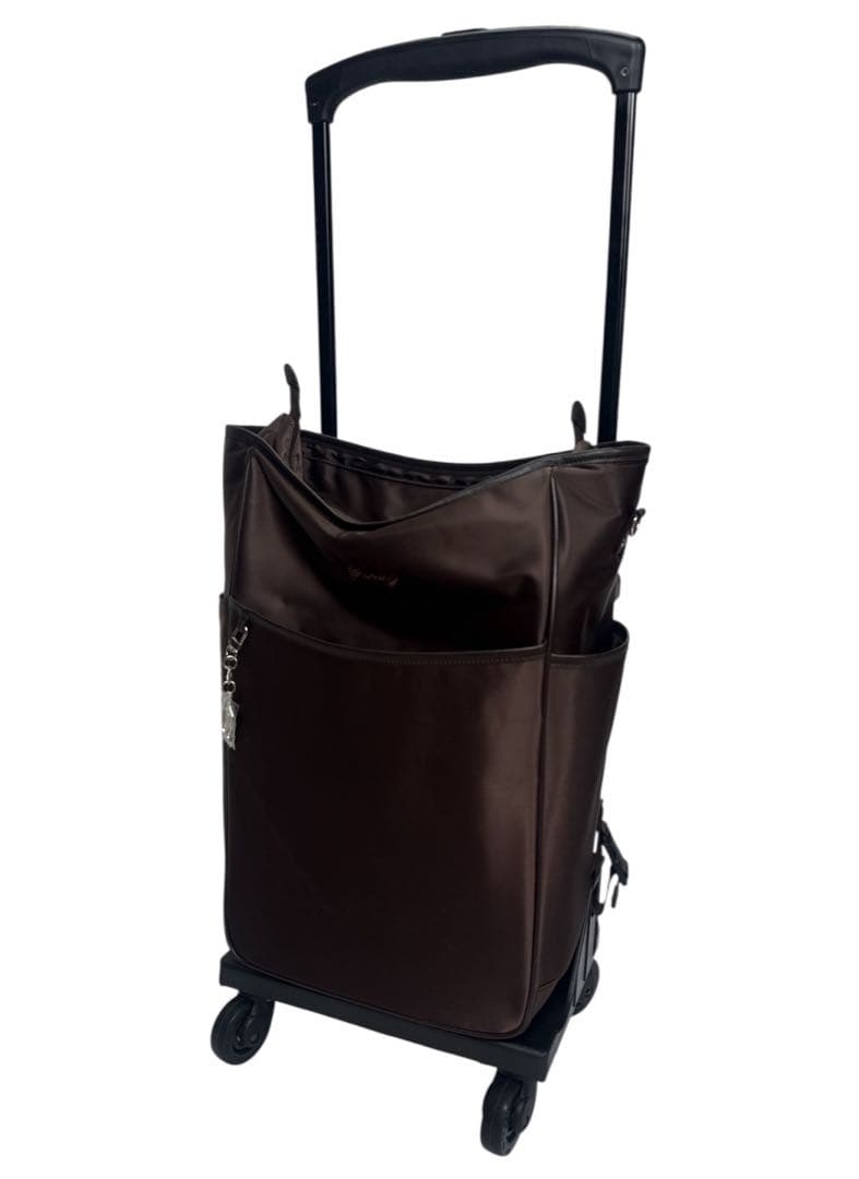 SWANY スワニー　キャリーバッグ　座面付きD-202