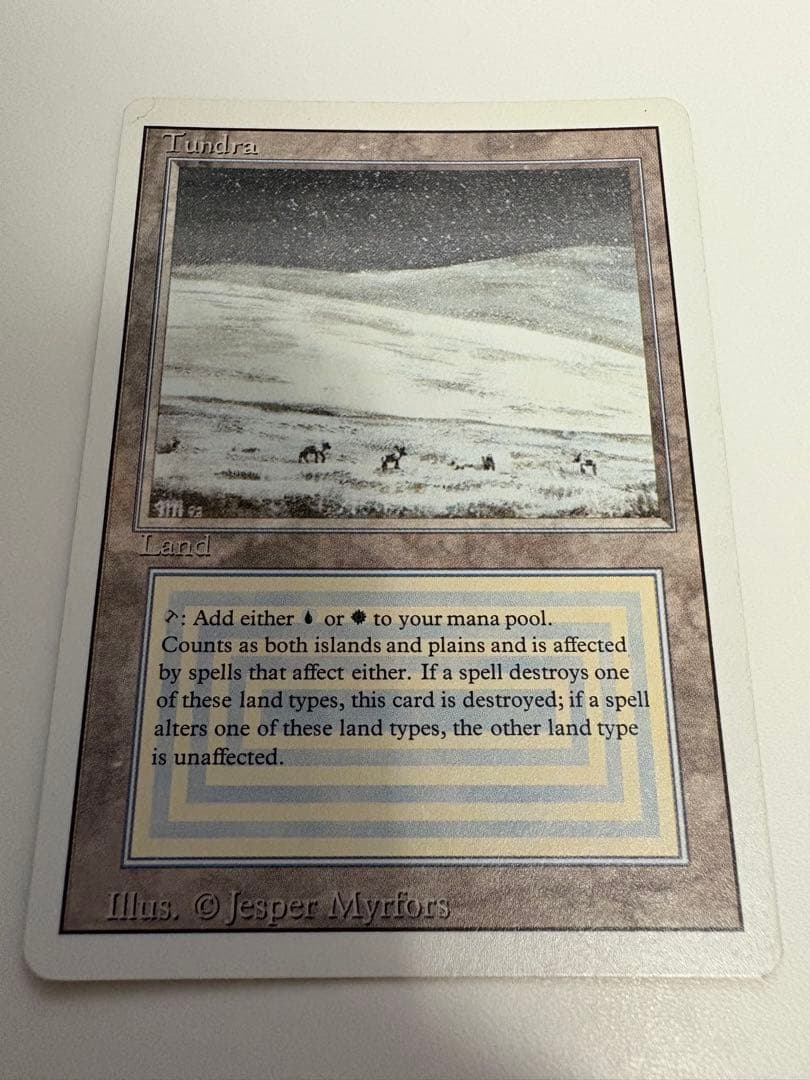 マジック：ザ・ギャザリング Tundra poor