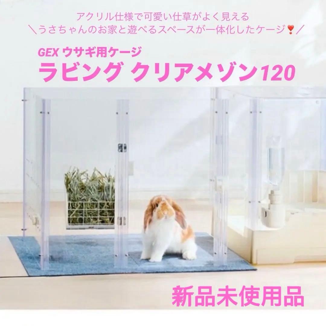 【期間限定価格❗️新品未使用品✨】ＧＥＸ　ラビング　クリアメゾン120