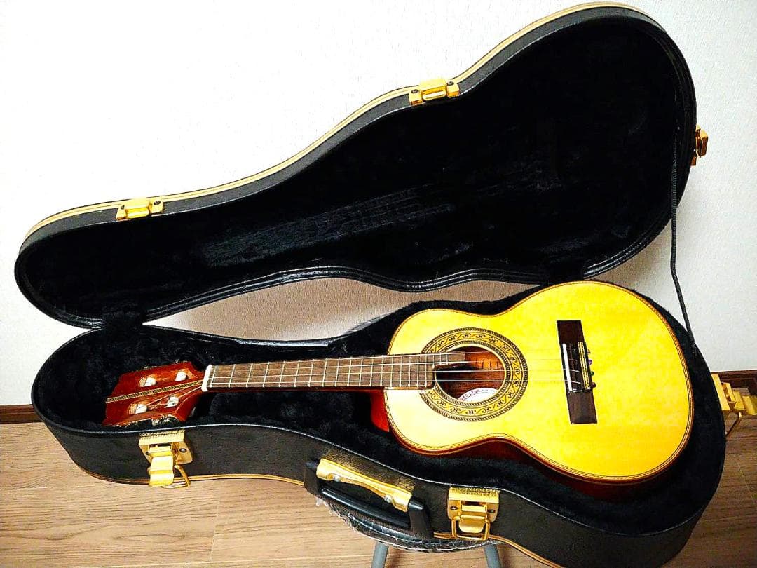 カヴァキーニョ&ハードケース　B