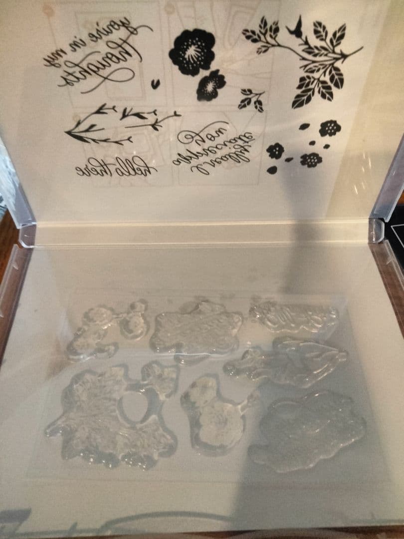 １点限り♡未使用　新作　スタンプ＆エンボスフォルダーセット　スタンピンアップ