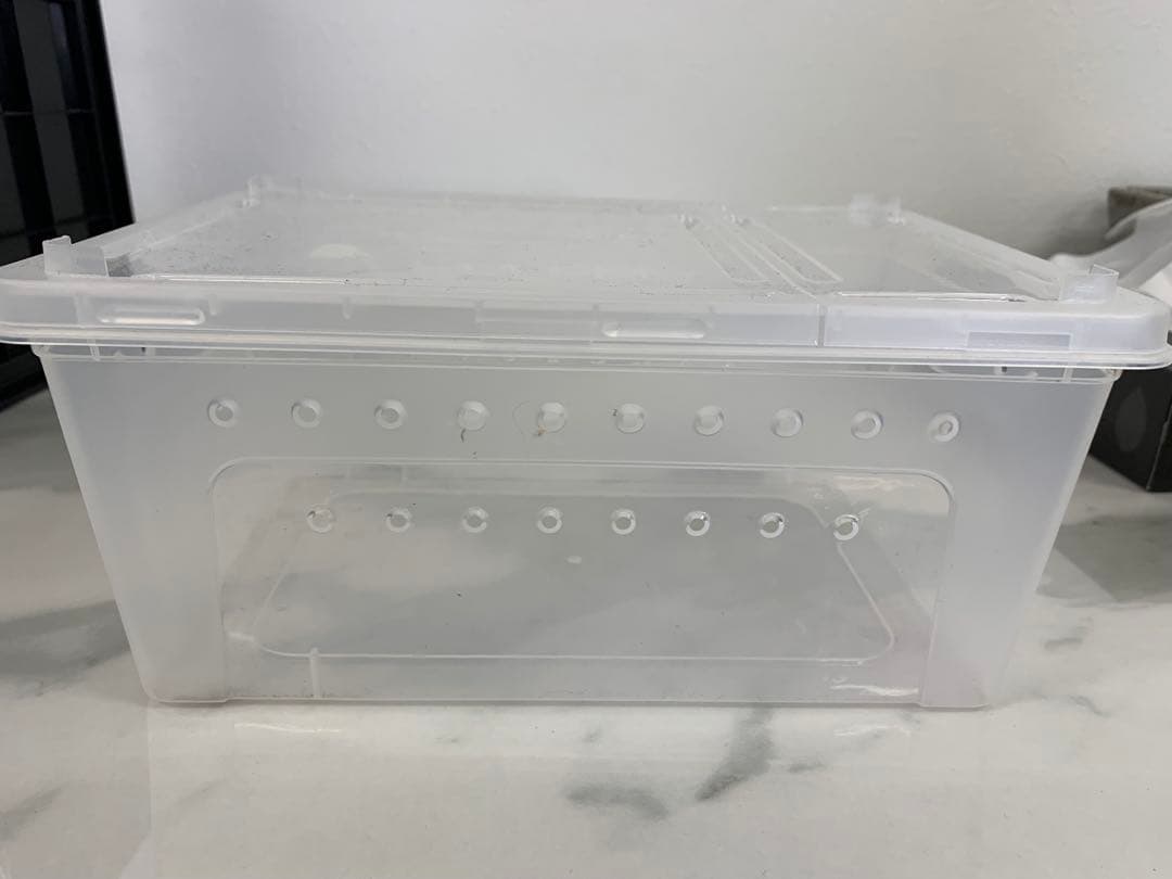 ＋ 爬虫類飼育5点セット ジェックス GEX ヒーター スポットライト