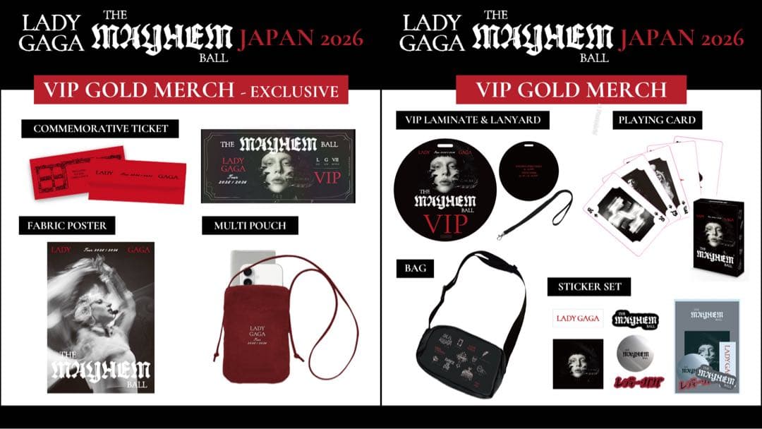 LADY GAGA VIP GOLD グッズ フルセット ゴールド