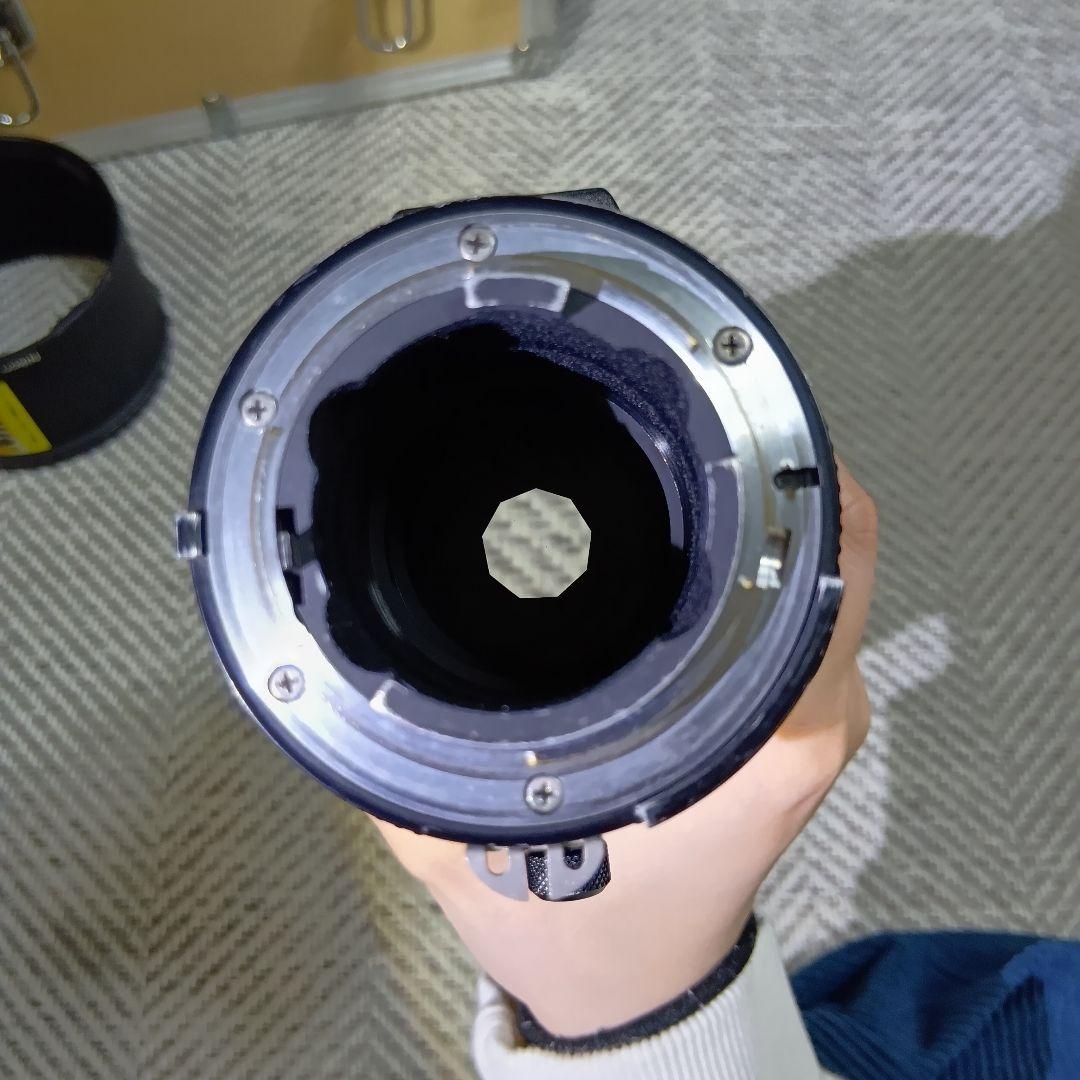 Nikon ED 300mm F2.8 / 2xテレコンバーター