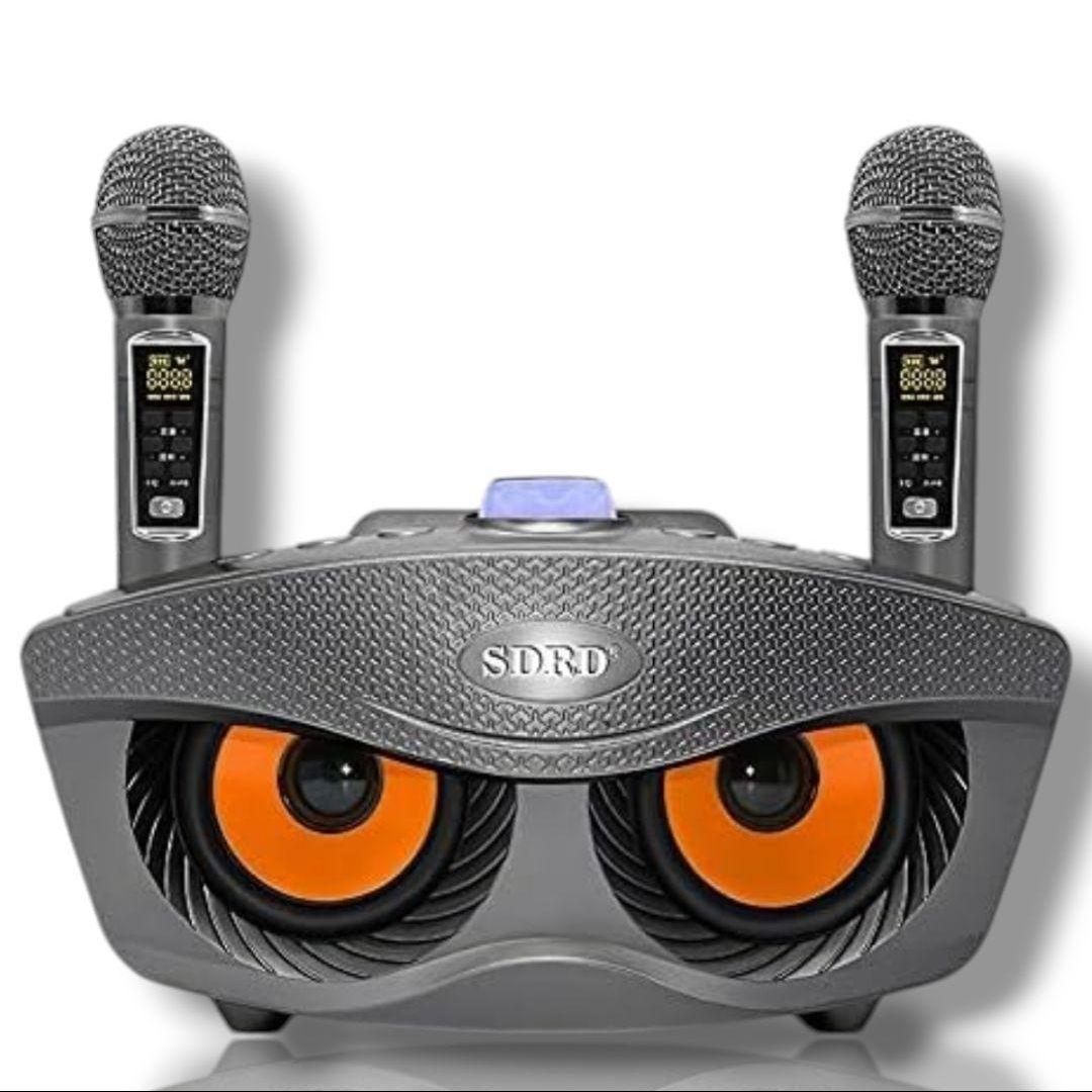 新品未使用 カラオケ 家庭用 スピーカー 第2世代 マイク 2本 USB 充電