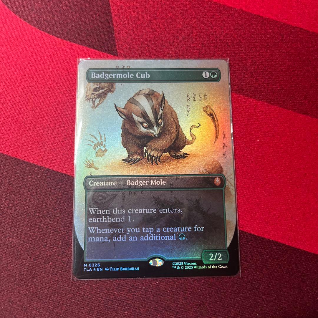 MTG アナグマモグラの仔 Badgermole Cubフルアートfoil 英語