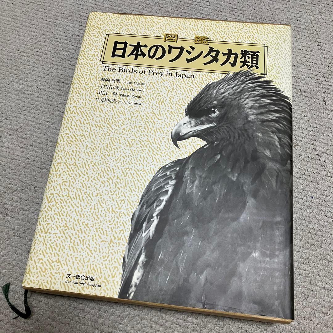 図鑑　日本のワシタカ類